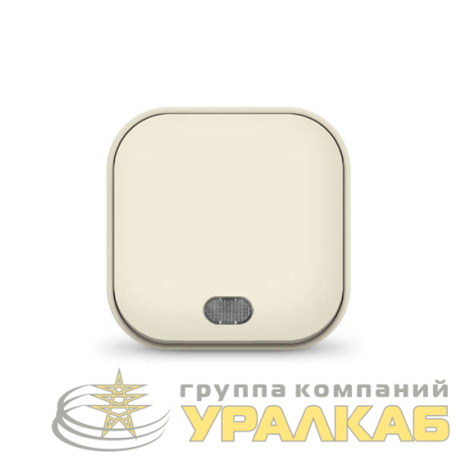 Выключатель 1-кл. 1п ОП 10А IP20 с подсветкой сл. кость IONICH 