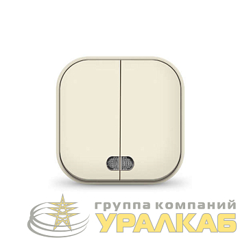 Выключатель 2-кл. 1п ОП 10А IP20 с подсветкой сл. кость IONICH 