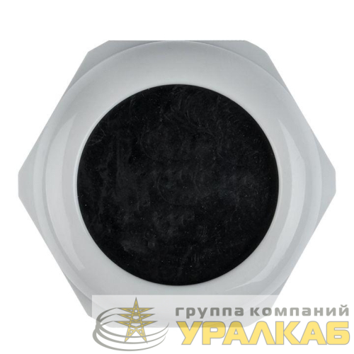 Сальник PG42 IP54 EKF 