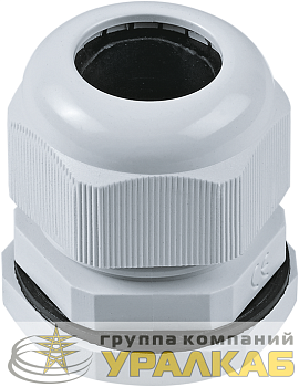 Ввод кабельный (сальник) 71 736 NCG-PG-21 (уп.50шт) Navigator 