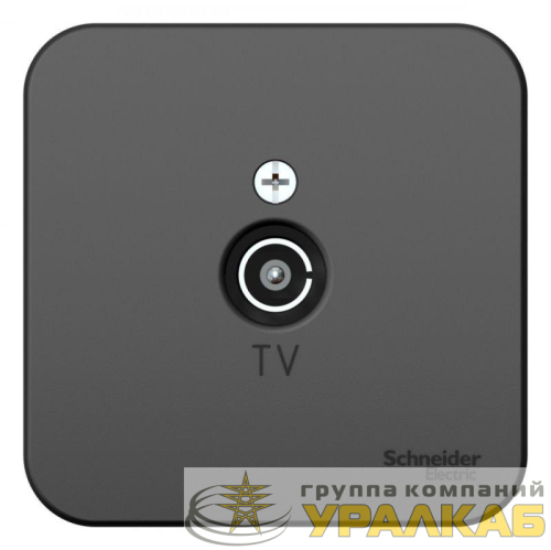 Розетка телевизионная TV ОП Blanca коннектор с изолир. пластиной антрацит SE 