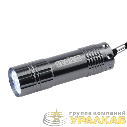 Фонарь ручной TM9 9LED алюм. элементы питания 3хAAA (не в компл.) (картон. упак.) Трофи 