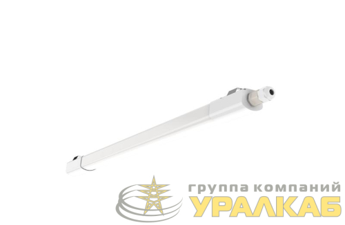 Светильник светодиодный WT035C G2 LED20/NW PSU CFW L600 ДСП 4000К PHILIPS 