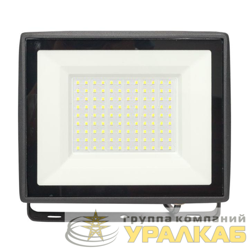 Прожектор светодиодный СДО-3006 100Вт 6500К IP65 Basic EKF 