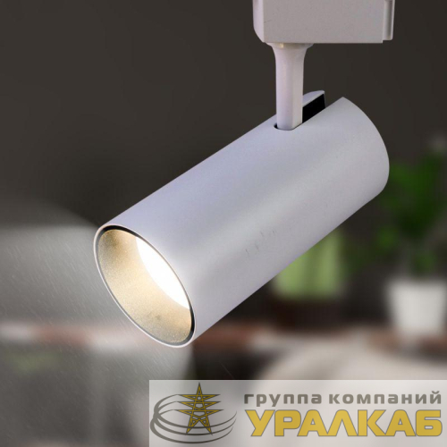 Светильник трековый TR5-30 30Вт COB 4000К 2100лм 1ф WH бел. Эра 