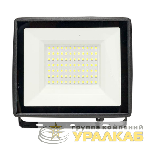 Прожектор светодиодный СДО-3005 75Вт 6500К IP65 Basic EKF 