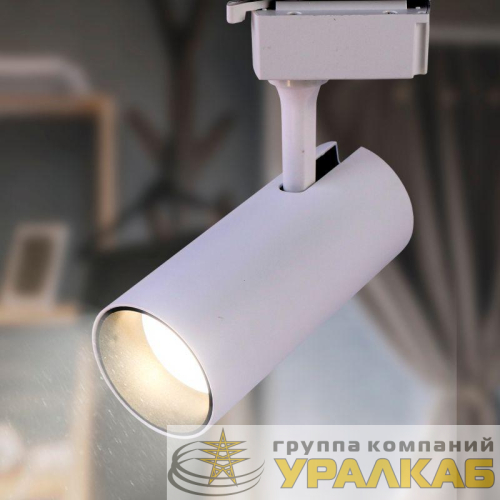Светильник трековый TR5-10 10Вт COB 4000К 700лм 1ф WH бел. Эра 