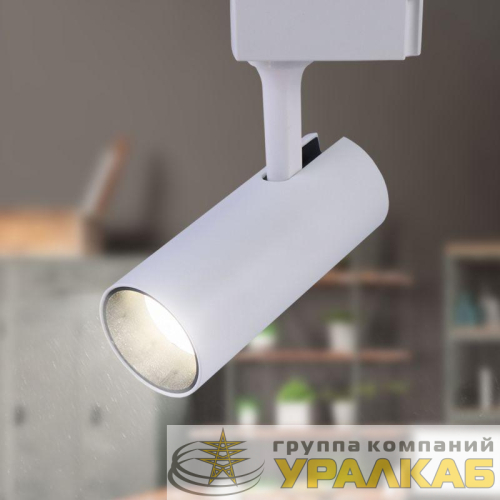 Светильник трековый TR5-20 20Вт COB 4000К 1400лм 1ф WH бел. Эра 
