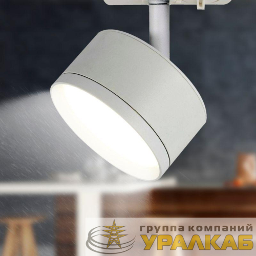 Светильник трековый TR48 GX53 1ф WH матов. бел. Эра 