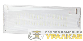 Светильник светодиодный DPA-301-0-65 40LED 3ч IP65 аварийный непостоянный Эра 