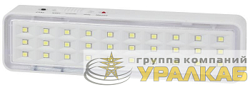 Светильник светодиодный DBA-101-0-20 30LED 5ч IP20 аварийный непостоянный Эра 