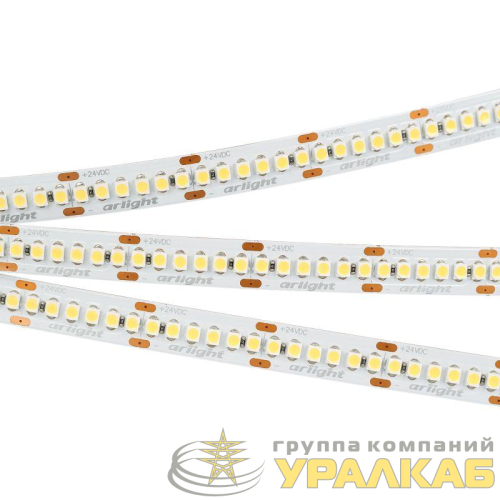 Лента светодиодная RT-A240-10mm 24V Day 4000К 19.2Вт/м IP20 3528 открыт. (уп.5м) Arlight 