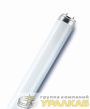 Лампа люминесцентная L 36W/640 36Вт T8 4000К G13 смол. OSRAM 