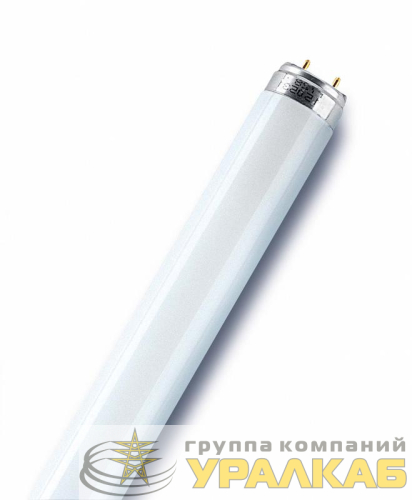 Лампа люминесцентная L 58W/765 58Вт T8 6500К G13 смол. OSRAM 