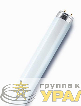 Лампа люминесцентная L 18W/765 18Вт T8 6500К G13 смол. OSRAM 