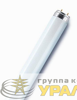 Лампа люминесцентная L 18W/865 LUMILUX 18Вт T8 6500К G13 смол. OSRAM 