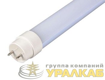 Лампа светодиодная PLED T8-600GL 10Вт линейная 6500К холод. бел. G13 800лм 220-240В JazzWay 