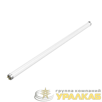Лампа светодиодная Elementary 10Вт трубчатая 6500К холод. бел. G13 800лм стекло GAUSS 