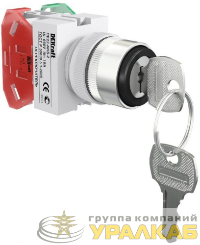 Переключатель на 2 положения I-O ПЕ-22 AKS-2 d22мм с ключом черн. DEKraft 