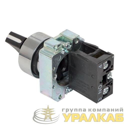 Переключатель BD21 2P короткая ручка NO EKF 