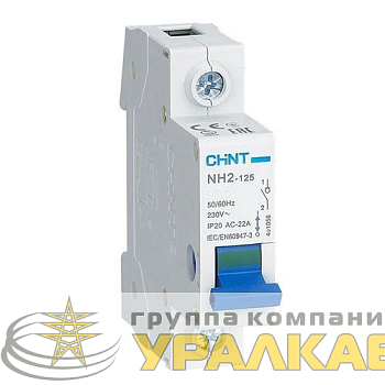 Выключатель нагрузки 1п 63А NH2-125 (R) CHINT 
