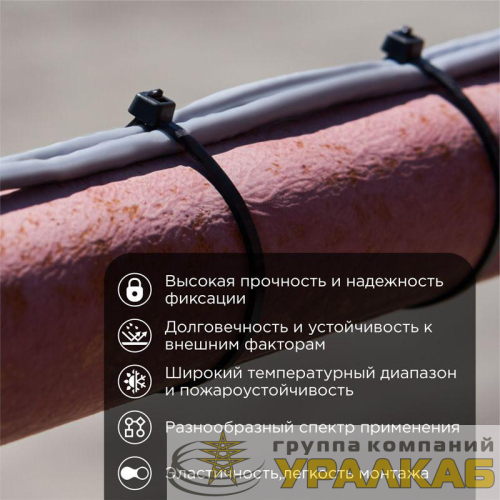 Хомут кабельный 4.8х250 нейл. черн. (уп.100шт) Rexant 