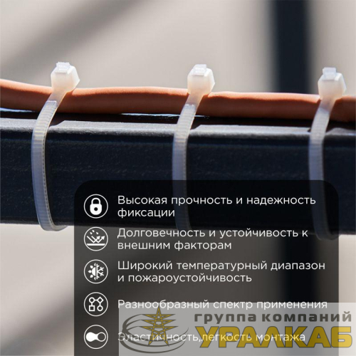Хомут кабельный 2.5х150 нейл. бел. (уп.100шт) Rexant 