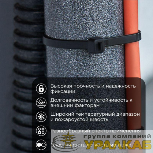 Хомут кабельный 2.5х200 нейл. черн. (уп.100шт) Rexant 