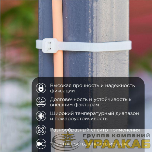 Хомут кабельный 4.8х300 нейл. бел. (уп.100шт) Rexant 