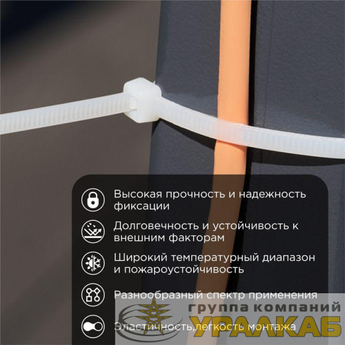 Хомут кабельный 3.6х250 нейл. бел. (уп.100шт) Rexant 