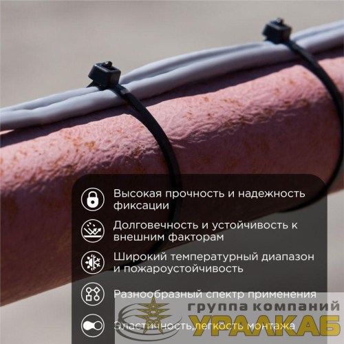 Хомут кабельный 7.6х250 нейл. черн. (уп.100шт) Rexant 