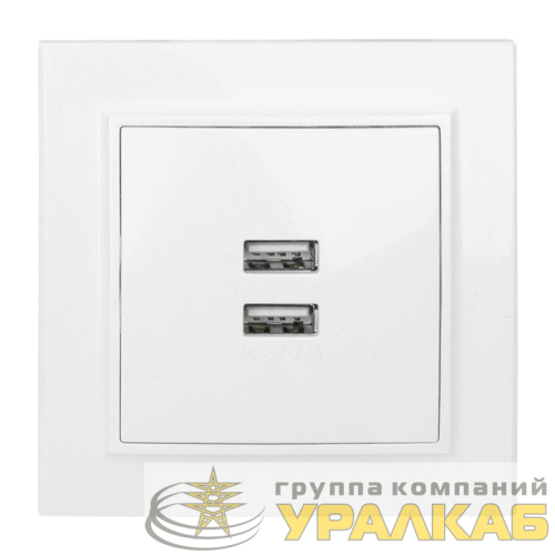 Розетка USB 2-м СП Минск 2.1А бел. EKF 