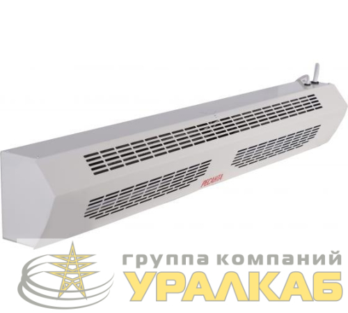 Завеса тепловая ТЗ-6С 6кВт (с пультом) Ресанта 
