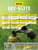 Триммер бензиновый GGT-553TX HUTER Триммер бензиновый GGT-553TX HUTER