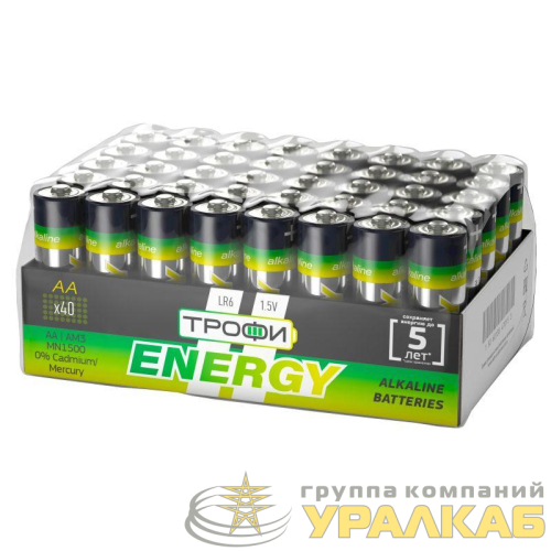 Элемент питания алкалиновый AA/LR6-40 bulk Eco (уп.40шт) Трофи 