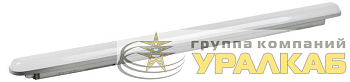 Светильник светодиодный SPP-201-0-65K-036 36Вт 6500К IP65 3420лм 1200мм линейный матов. Эра 