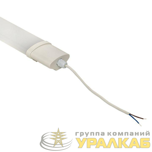 Светильник светодиодный ДСП-1001 18Вт 4000К IP65 600мм пылевлагозащ. PROxima EKF 