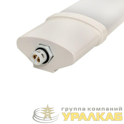 Светильник светодиодный ДСП-1006-L 36Вт 6500К IP65 1200мм пылевлагозащ. PROxima EKF 