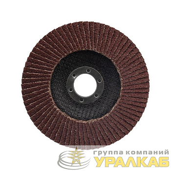 Круг лепестковый торцевой P 80 125х22.2мм Kranz 