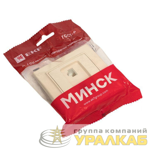 Розетка компьютерная + телефонная 2-м СП Минск RJ45 + Phone беж. EKF 
