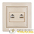 Розетка компьютерная + телефонная 2-м СП Минск RJ45 + Phone беж. EKF 
