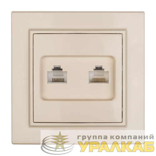 Розетка компьютерная + телефонная 2-м СП Минск RJ45 + Phone беж. EKF 