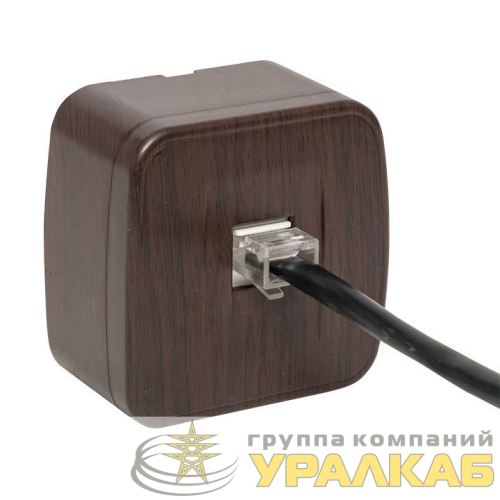 Розетка компьютерная 1-м ОП Минск RJ45 1А 120В темн. дерево EKF 