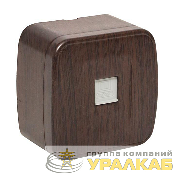Розетка компьютерная 1-м ОП Минск RJ45 1А 120В темн. дерево EKF 