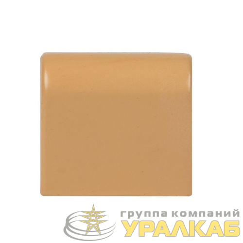 Заглушка 40х16 под свет. дерево Plast PROxima (уп.4шт) EKF 