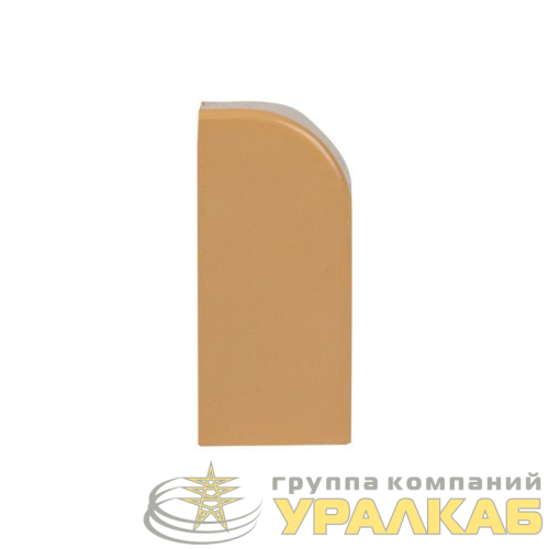 Заглушка 40х16 под свет. дерево Plast PROxima (уп.4шт) EKF 