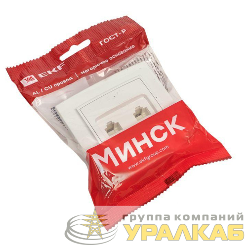 Розетка компьютерная + телефонная 2-м СП Минск RJ45 + Phone бел. Basic EKF 